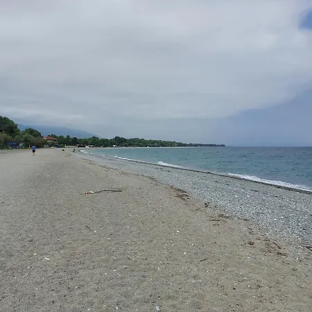 Margit * 리토코론